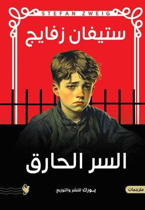السر الحارق ستيفان زفايج قصص وروايات | المعرض المصري للكتاب EGBookfair