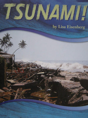 Tsunami! Lisa Eisenberg Children | المعرض المصري للكتاب EGBookfair