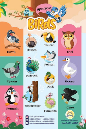 Birds Poster كتب اطفال | المعرض المصري للكتاب EGBookfair