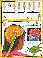سلسلة أنظر الى جسدك : الدماغ والاعصاب ستيف باركر كتب اطفال | المعرض المصري للكتاب EGBookfair