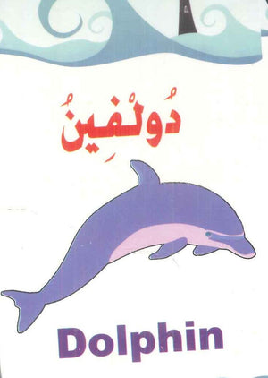 سلسلة البطاقات التعريفية 9: الكائنـــات البحريـــــة منتجات أطفال | المعرض المصري للكتاب EGBookFair