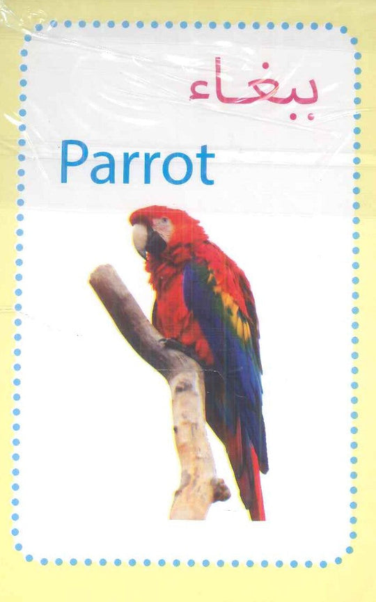 سلسلة البطاقات التعريفية 11: الطيـور منتجات أطفال | المعرض المصري للكتاب EGBookFair