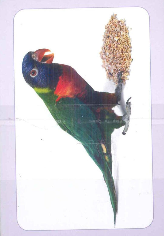 سلسلة بطاقات العلاقات 3: طعام الطيور منتجات أطفال | المعرض المصري للكتاب EGBookFair