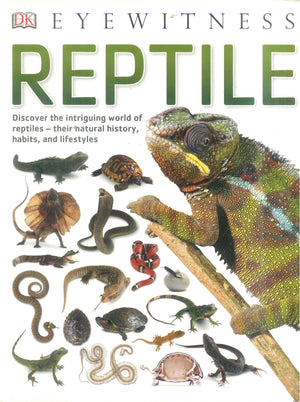 DK Eyewitness Reptile Encyclopedias Youth | المعرض المصري للكتاب EGBookFair