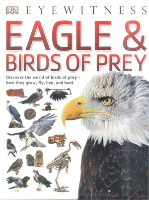 DK Eyewitness Eagle and Birds Of Prey Encyclopedias Youth | المعرض المصري للكتاب EGBookFair