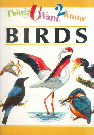 Things You Want to Know Birds Rohan Book Company Children | المعرض المصري للكتاب EGBookFair