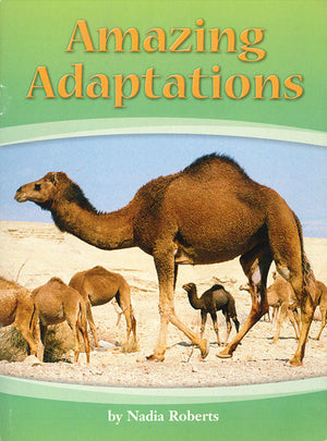 Amazing Adaptations  | المعرض المصري للكتاب EGBookFair