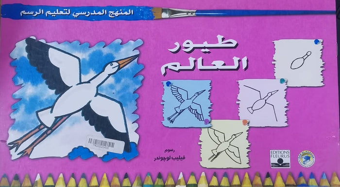 المنهج الدراسي لتعليم الرسم - طيور العالم (الثاني - المستوى الاول)