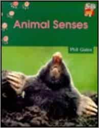 Animal Senses Children | المعرض المصري للكتاب EGBookfair