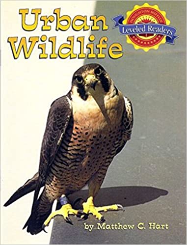 Urban Wildlife Children | المعرض المصري للكتاب EGBookfair