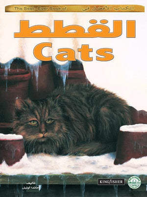 القطط - الكتاب الأفضل في أماندا أونيل | المعرض المصري للكتاب EGBookFair