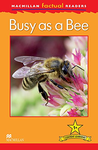 Macmillan Factual Readers: Busy as a Bee (Paperback) Louise P Carroll Children | المعرض المصري للكتاب EGBookfair