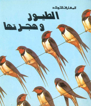 الطيور وهجرتها | المعرض المصري للكتاب EGBookFair