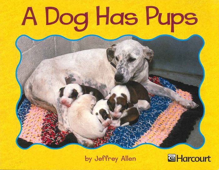 A dog Has Pups