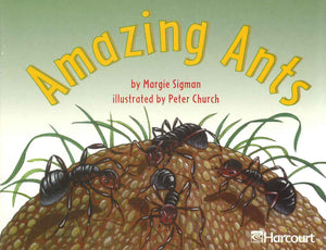 Amazing Ants  | المعرض المصري للكتاب EGBookFair